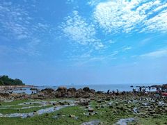 -养马岛旅游度假区