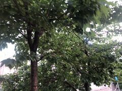 -长春公园(普阳街道)