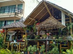 -Jungle Kitchen