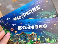 -西双版纳原始森林公园