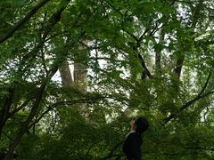 -共青国家森林公园-售票处