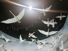 -中国湿地博物馆