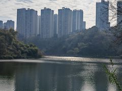 -重庆彩云湖湿地公园