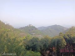 -莫干山风景区