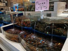 水产区-海景壹号大酒店(滨湖店)