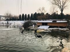 -燕郊植物园