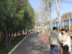 -云岗森林公园