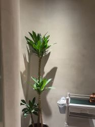 -琉璃丝美·高端美容SPA会所