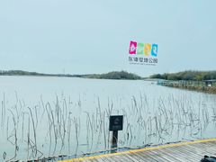 -东滩湿地公园观海楼餐厅