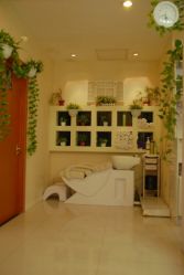 小小工作室-极致·本色 发型工作室