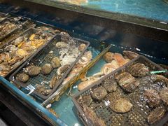 -龙宴海鲜城(经中路店)