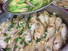 狮头鱼-胜海大排档·海鲜·黄鳝饭(十年老店)