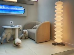 -怪兽屋·羊驼·猫咖·狗咖(俊华广场店)