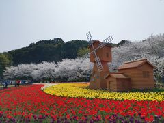 -苏州上方山国家森林公园