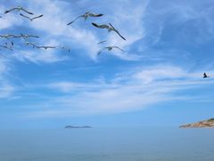 -海驴岛(荣成市)