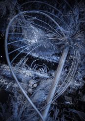 -三色锦婚礼定制