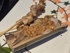 -黑松白鹿(金融街店)