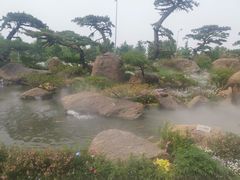 -罗红摄影艺术馆