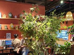 -老客家·客家菜(万达店)
