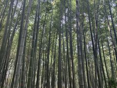 -南山风景名胜区