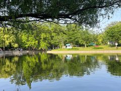 -上海共青森林公园