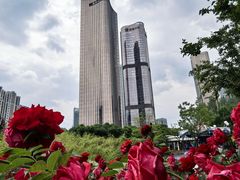 -大望京公园