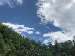 -西双版纳原始森林公园