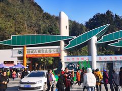 -江西阳明山国家森林公园