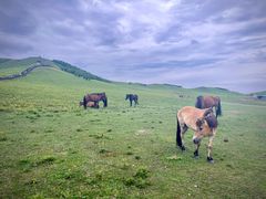 -塞罕坝国家级自然保护区