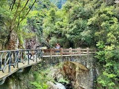 -龙湾潭国家森林公园