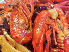 -大孩龙虾(体育场旗舰店)
