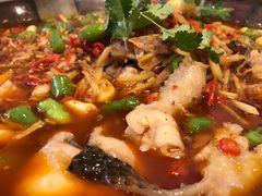 -兔行天下-鸿鹤鲜锅兔(中海国际店)