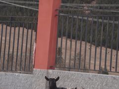 -TREK崔克自行车(徐汇滨江店)