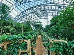 -南山植物园