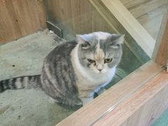 -藦茜花园宠物主题亲子互动体验馆(国顺东路店)