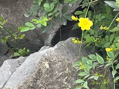 -巡塘古镇