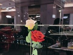 -宝荣鱼馆·临湖之宴(千岛湖店)