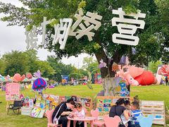 -广西壮族自治区药用植物园