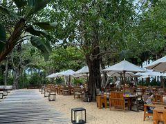 -三亚艾迪逊酒店·海滩烧烤 BARBACOA·现场乐队·浪漫晚餐·烧烤海鲜