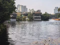 -荔湾湖公园