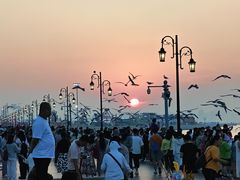 -东港音乐喷泉广场