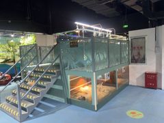 -上海大自然野生昆虫馆(东方明珠·爬宠昆虫探索中心)