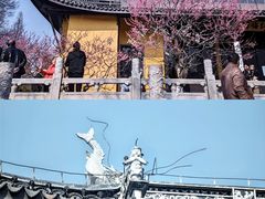 -红梅公园