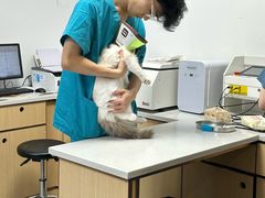 -贝利宠物医院·骨科·眼科·肿瘤转诊中心(南坪诊疗中心)