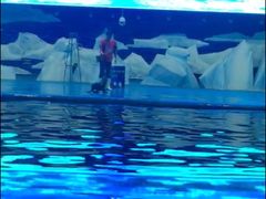 -福州罗源湾海洋世界旅游区