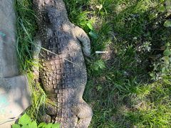 -秦皇岛野生动物园