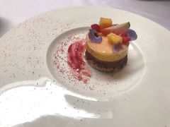 -蝶舍·MAISON PAPILLON