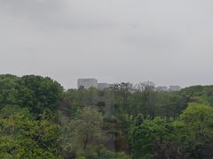 -中国浦东干部学院