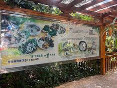-山大王菌莊