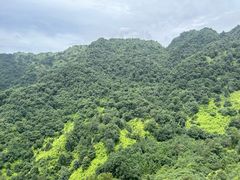 -青城山